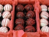 24 Piece Cake Ball Box